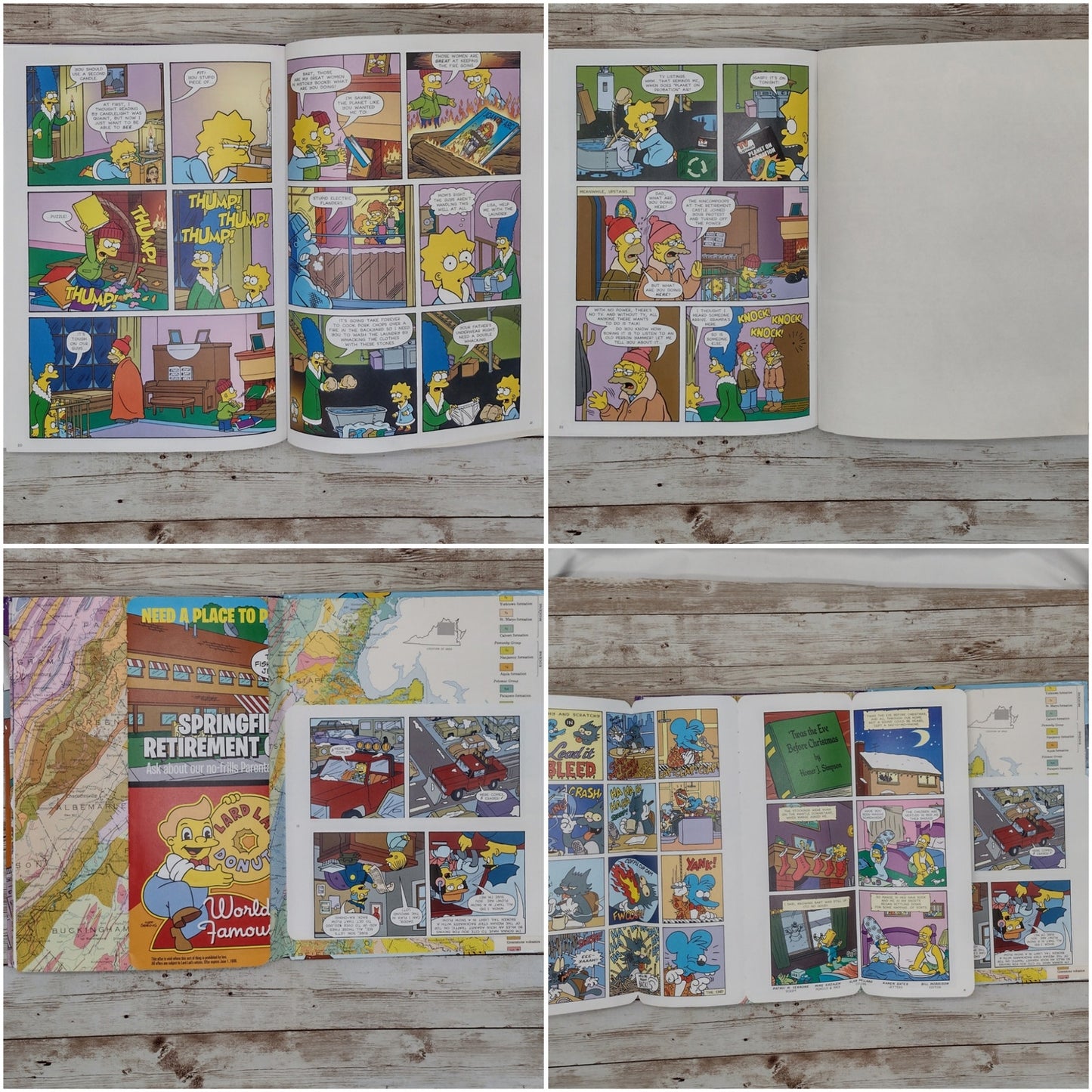 The Simpsons Altered Book Journal, Recycled Diary