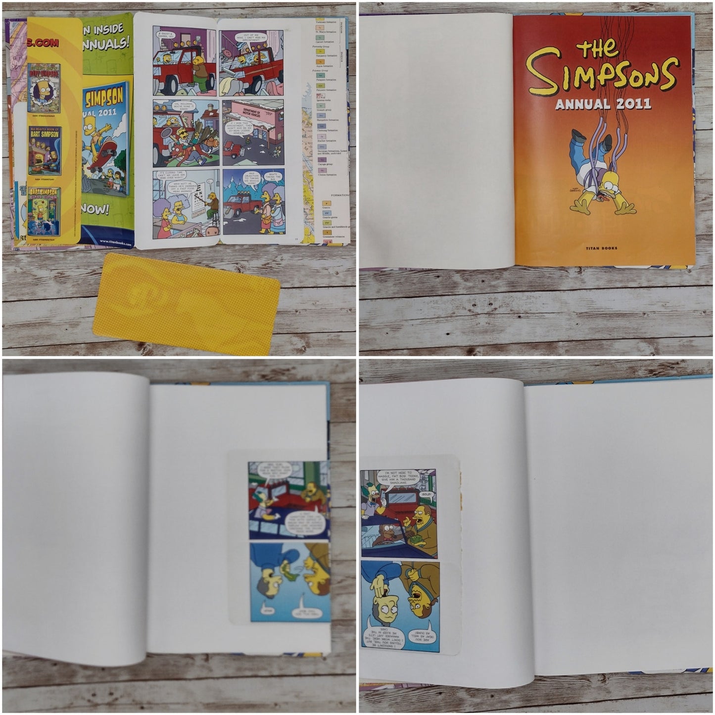 The Simpsons Altered Book Journal, Recycled Diary