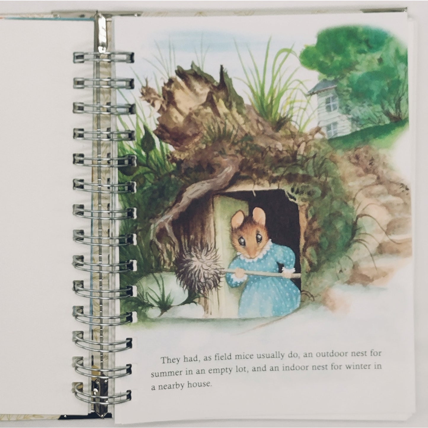 Recycled Spiral Notebook Diary, The Kitten Who Thought, Altered Book Journal