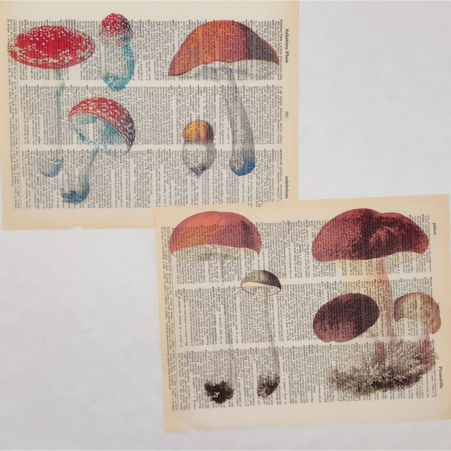 Mushroom Dictionary Prints 4, Colorful Mushroom Prints, Book Page Prints