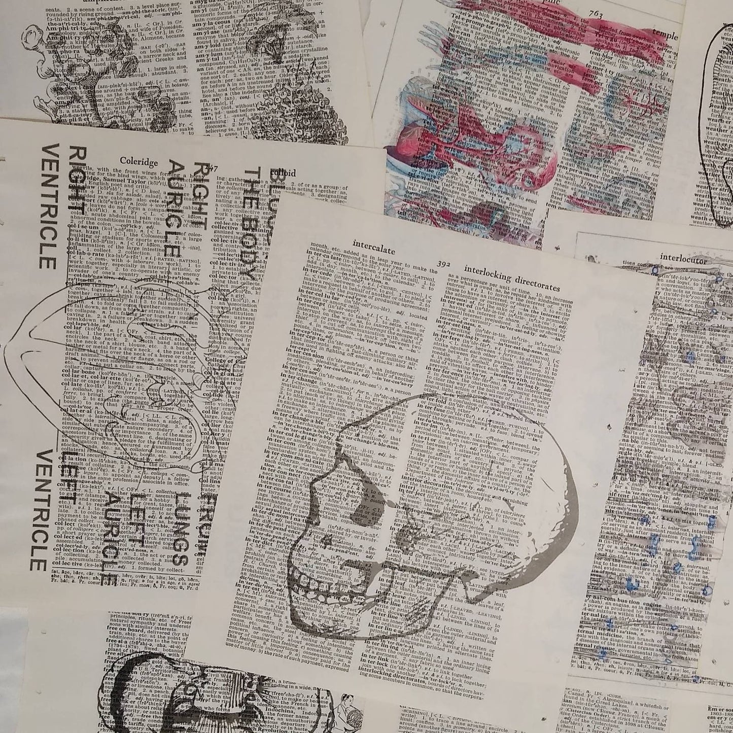 Anatomy Vintage Dictionary Prints, Anatomy Prints, Book Page Prints, Medical Decor, Repurposed Book Craft