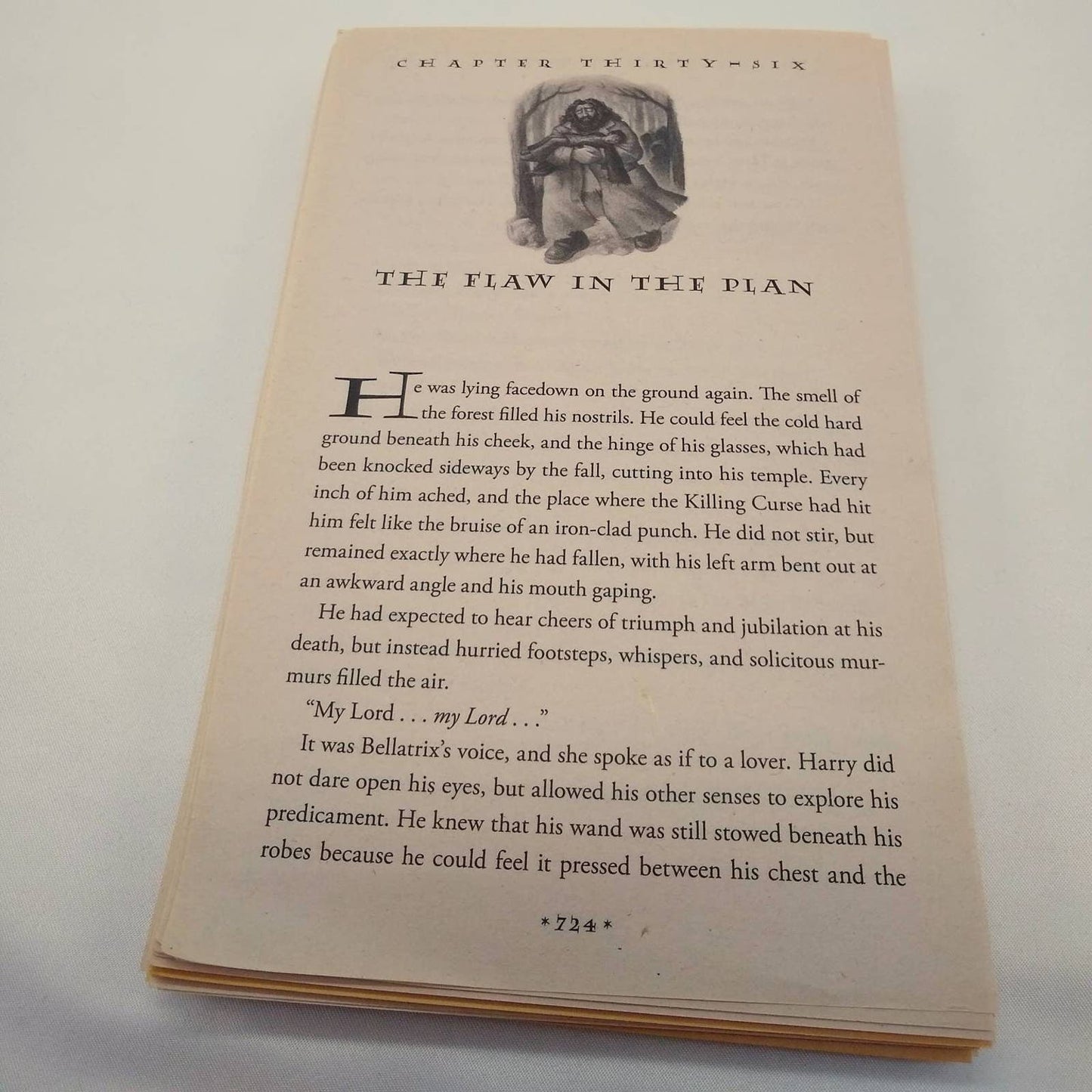 25 Harry Potter Book Page Bundle