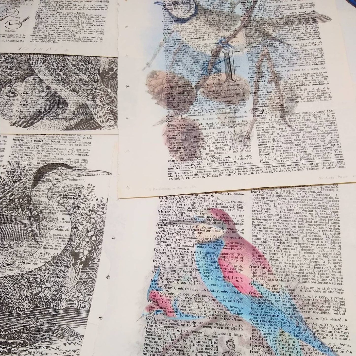 Bird Vintage Dictionary Prints, Colorful Bird Prints, Book Page Prints