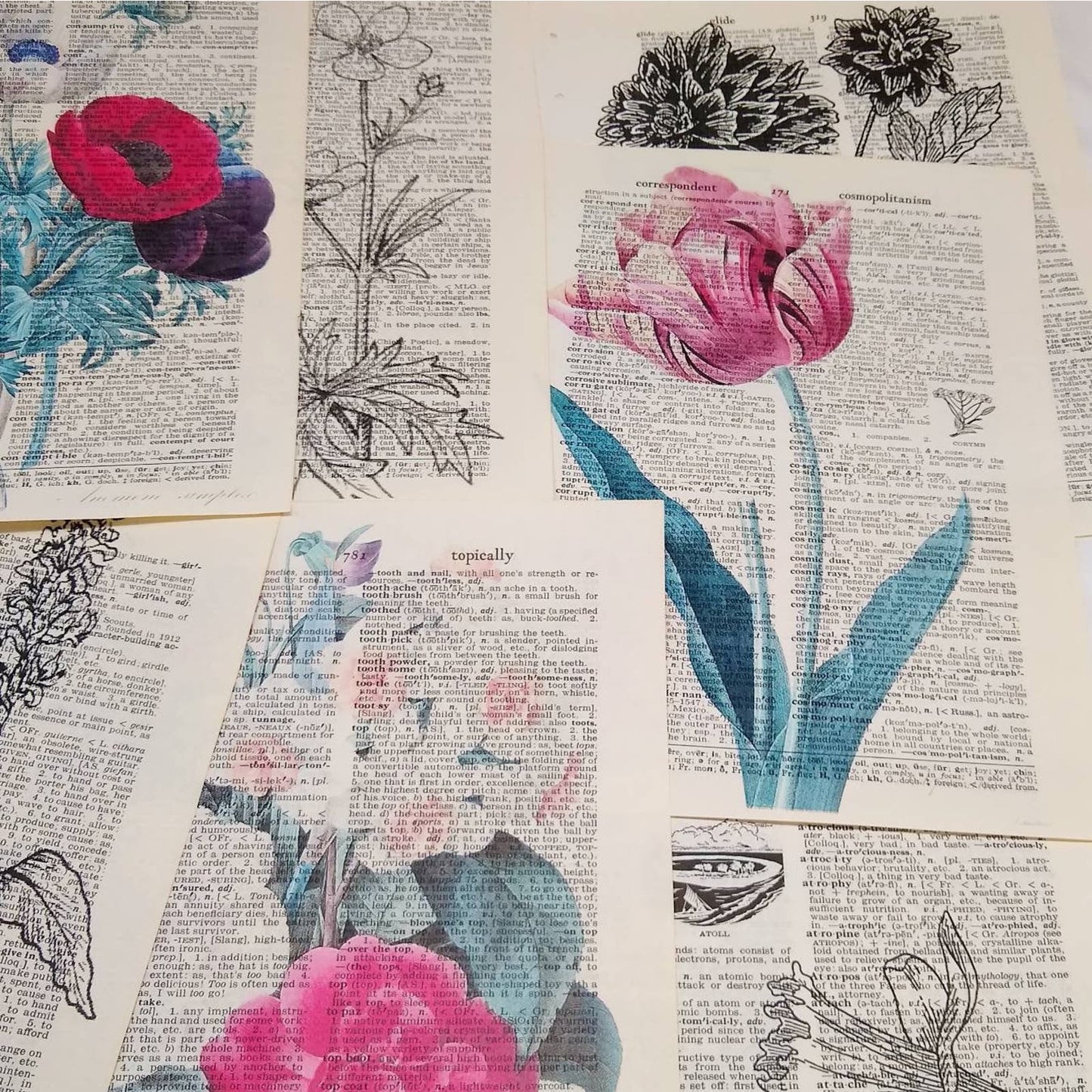 Flower Vintage Dictionary Prints, Colorful Floral Prints, Book Page Prints