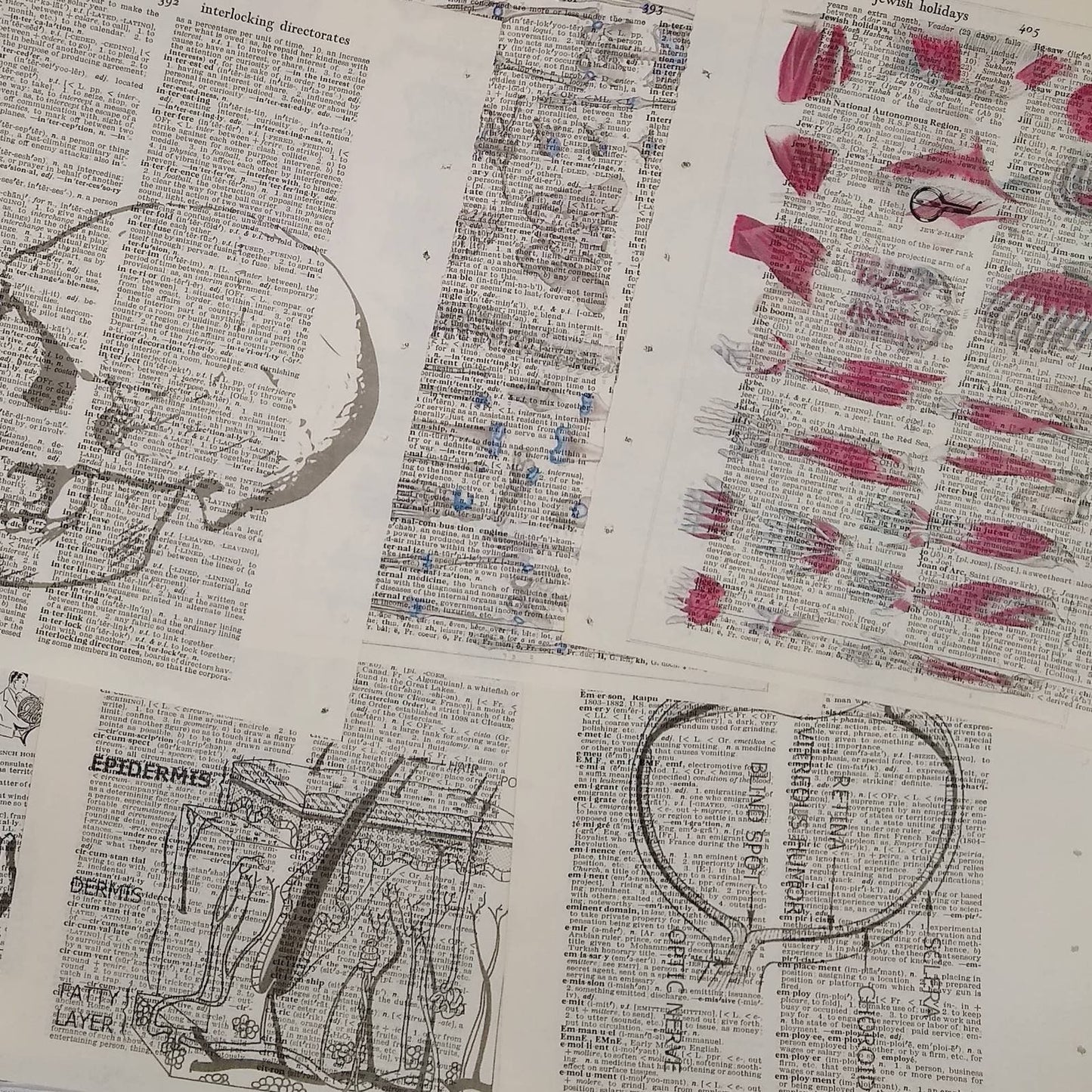 Anatomy Vintage Dictionary Prints, Anatomy Prints, Book Page Prints, Medical Decor, Repurposed Book Craft