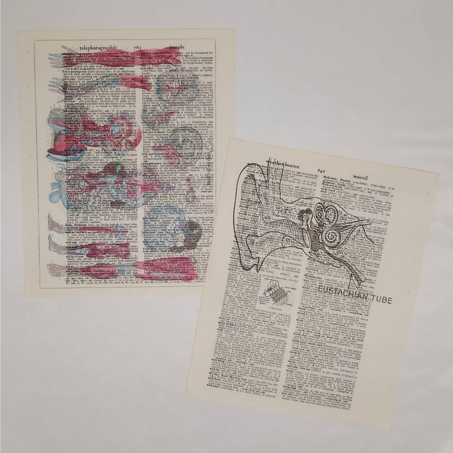 Anatomy Vintage Dictionary Prints, Anatomy Prints, Book Page Prints, Medical Decor, Repurposed Book Craft